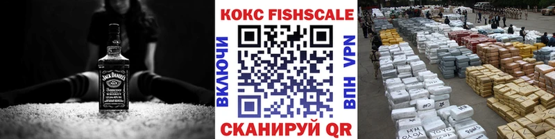 купить закладку  shop клад  Cocaine Fish Scale  Уфа 
